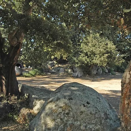 Pezza Cardo Camping 3*