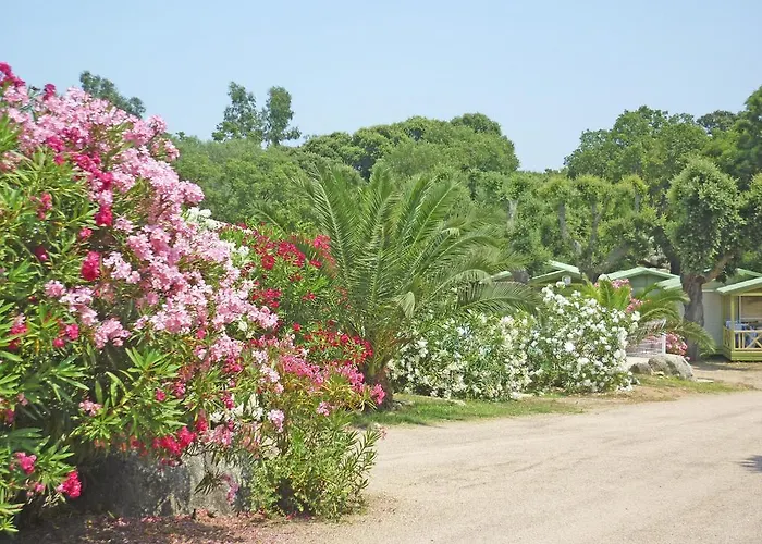 Campingplads Pezza Cardo Porto-Vecchio (Corsica)